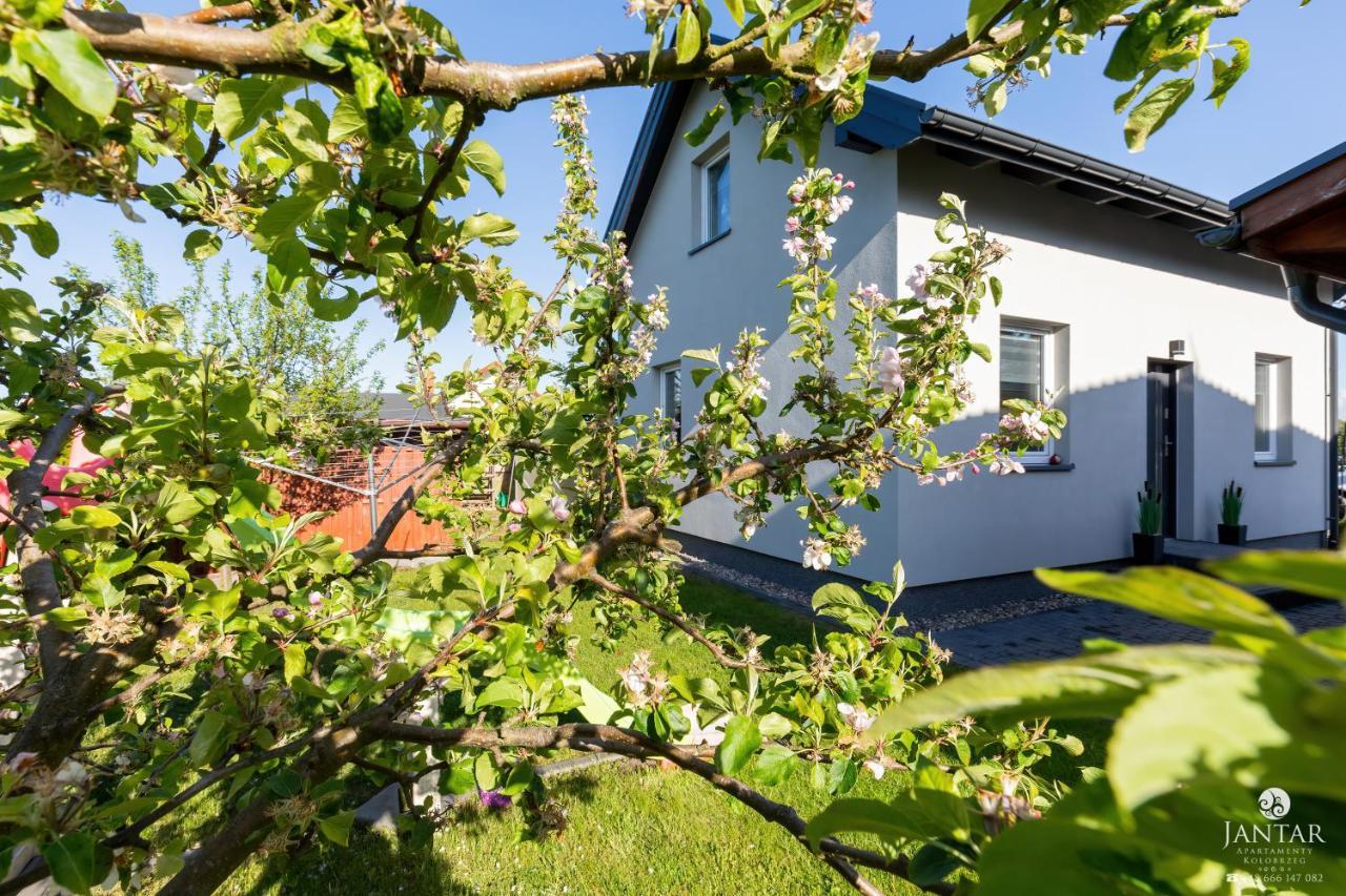Casa Francesco By Jantar Apartamenty Kolobrzeg Grzybowo  Extérieur photo